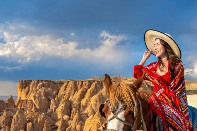 Horse Safari